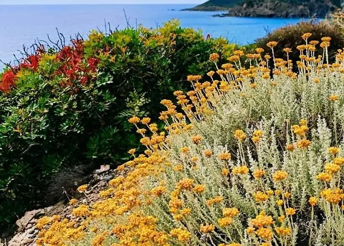 Helichrysum Hospitality Ampio Trilocale Di 85mq Nel Centro Storico Di * オルビア
